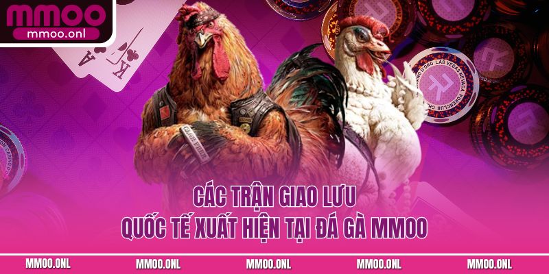Các trận giao lưu quốc tế xuất hiện tại đá gà MMOO