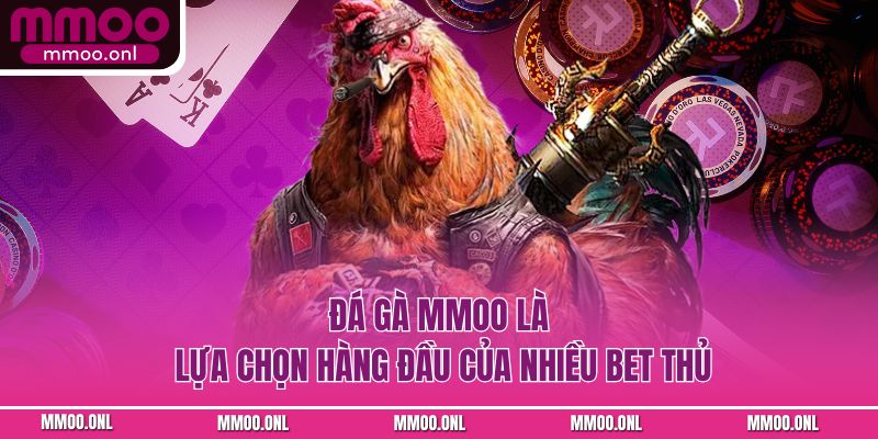Đá gà MMOO là lựa chọn hàng đầu của nhiều bet thủ 